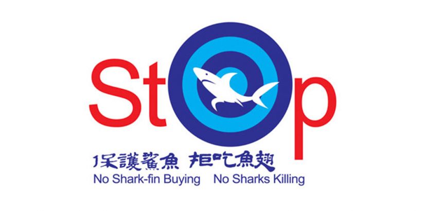 Implement the “No Shark Fin Policy”