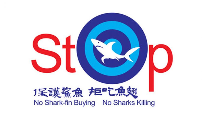 Implement the “No Shark Fin Policy”